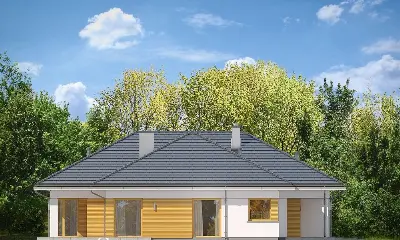 Doskonały — elewacje 3 (odbicie lustrzane)