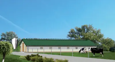 Projekt domu Obora dla 39 krów mlecznych, uwięziowa,  (stanowiskowa) na płytkiej ściółce O03 — wizualizacja