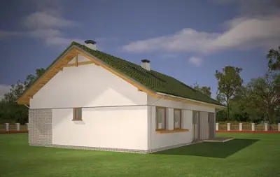 Oliwka 2 — zdjęcia 5