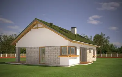 Oliwka 2 — zdjęcia 11