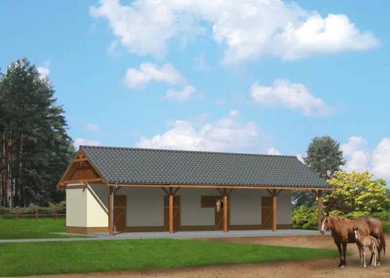 Projekt domu Stajnia dla 4 koni SC02  — wizualizacja