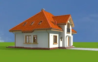 Stokrotka — zdjęcia 8