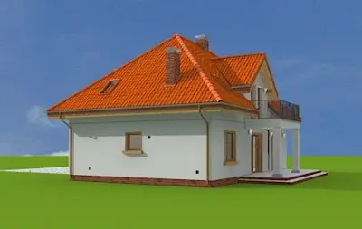 Stokrotka — zdjęcia 2