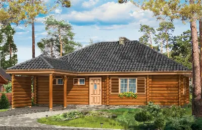 Zagajnik — wizualizacje 1 (odbicie lustrzane)