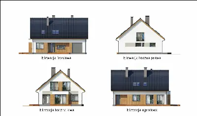 Zorganizowany (etap I) — elewacje 1